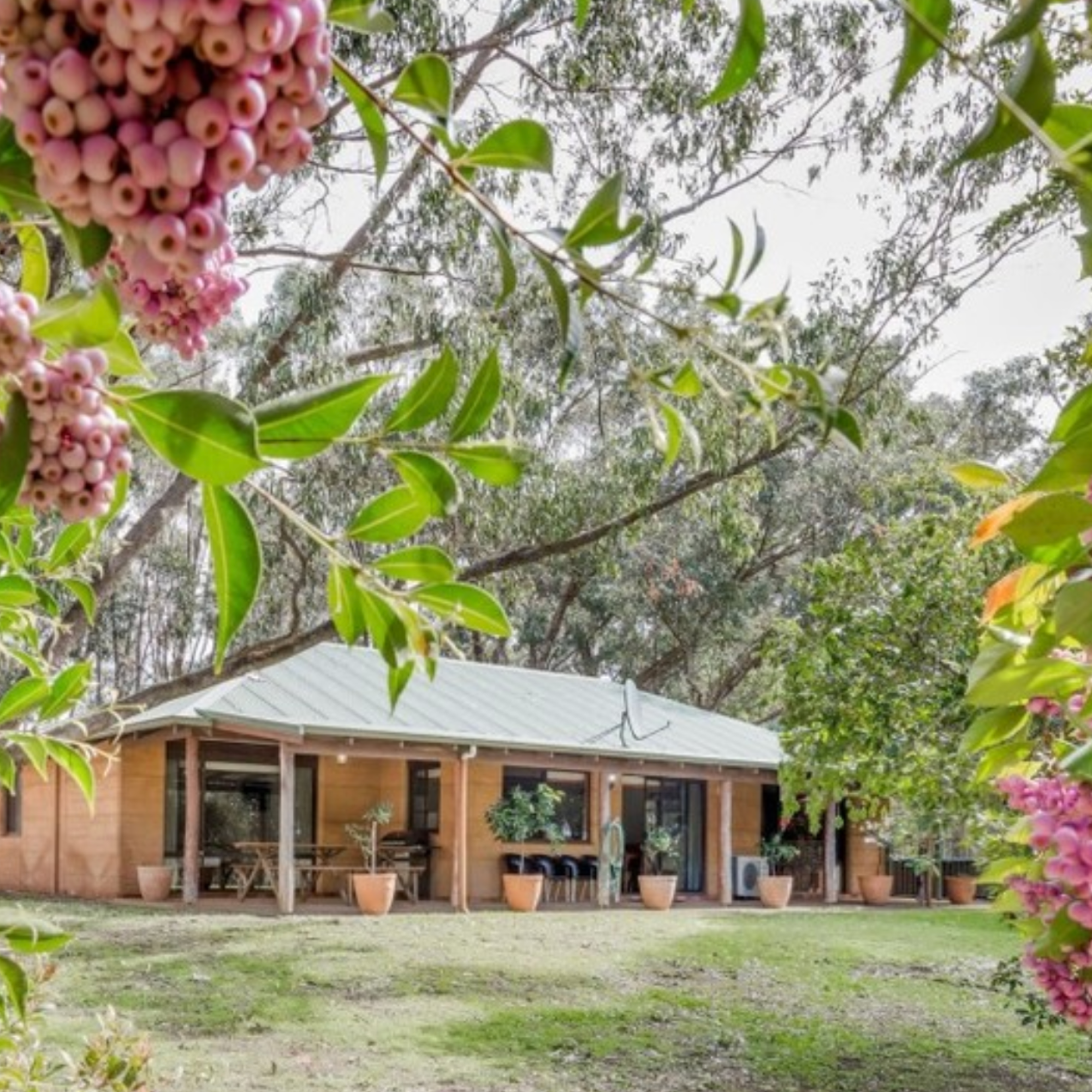 Cottage surrounded by trees and pink flowers